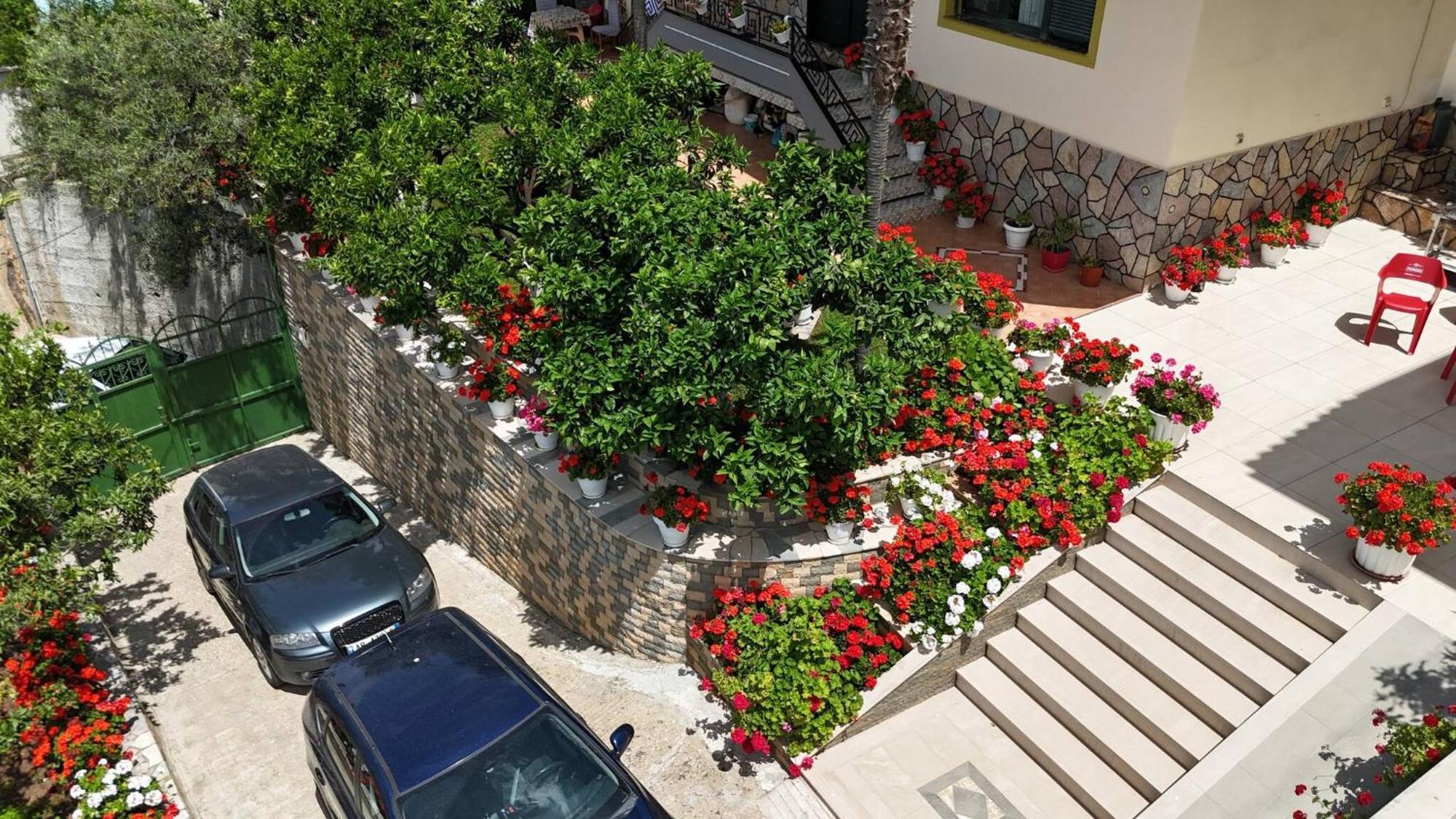 Villa Meminaj Vlore Ngoại thất bức ảnh